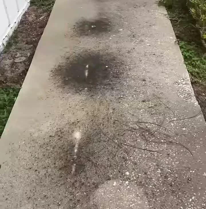 Dark buildup on a concrete walkway before pressure washing